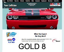 AutoWatch Gold 8